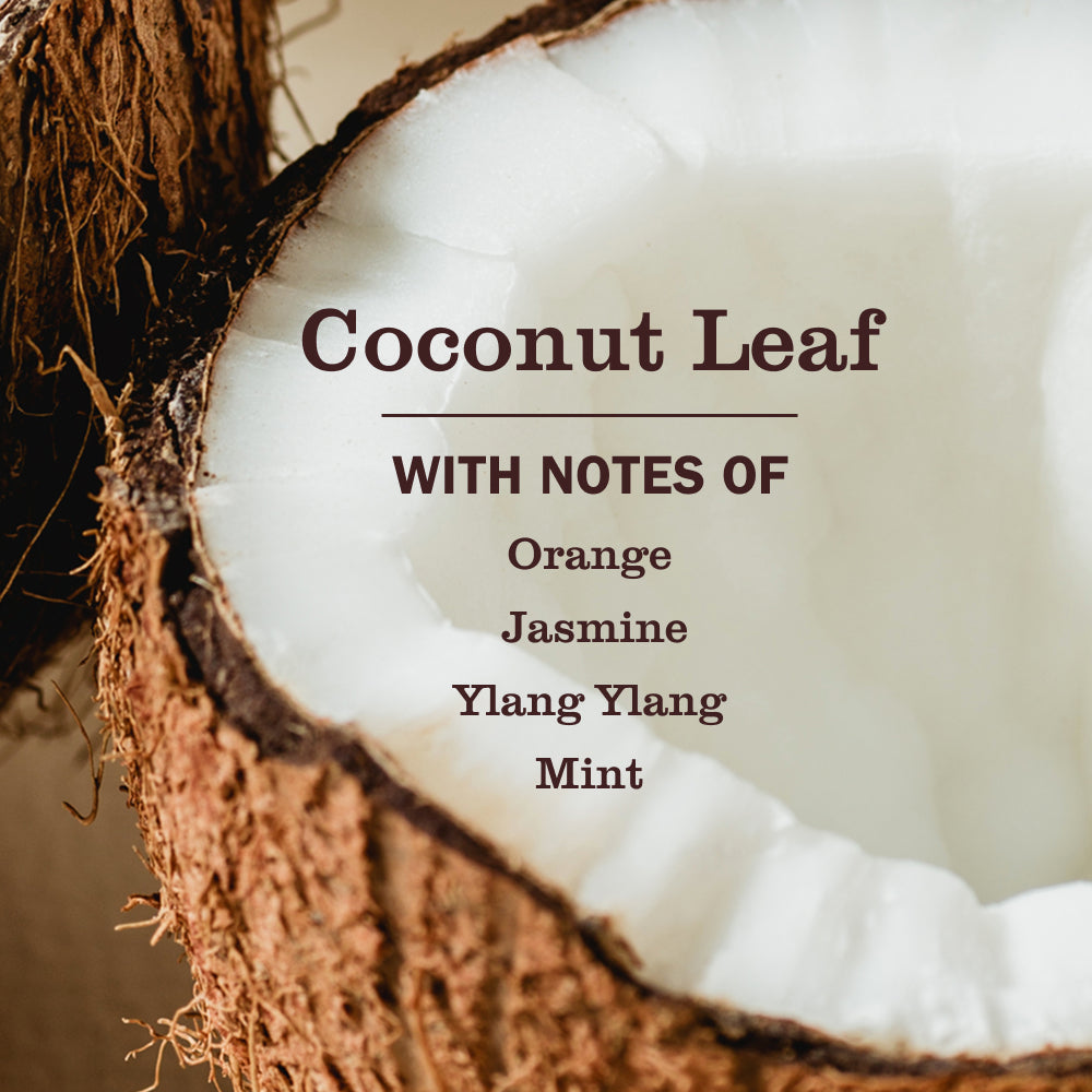 Coconut Leaf Pet Stain & Odor Fighter - Image 3