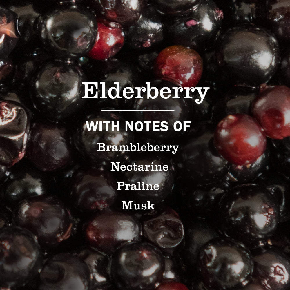 Elderberry Plug In Scented Oil Refill. 2-Pack - Image 4