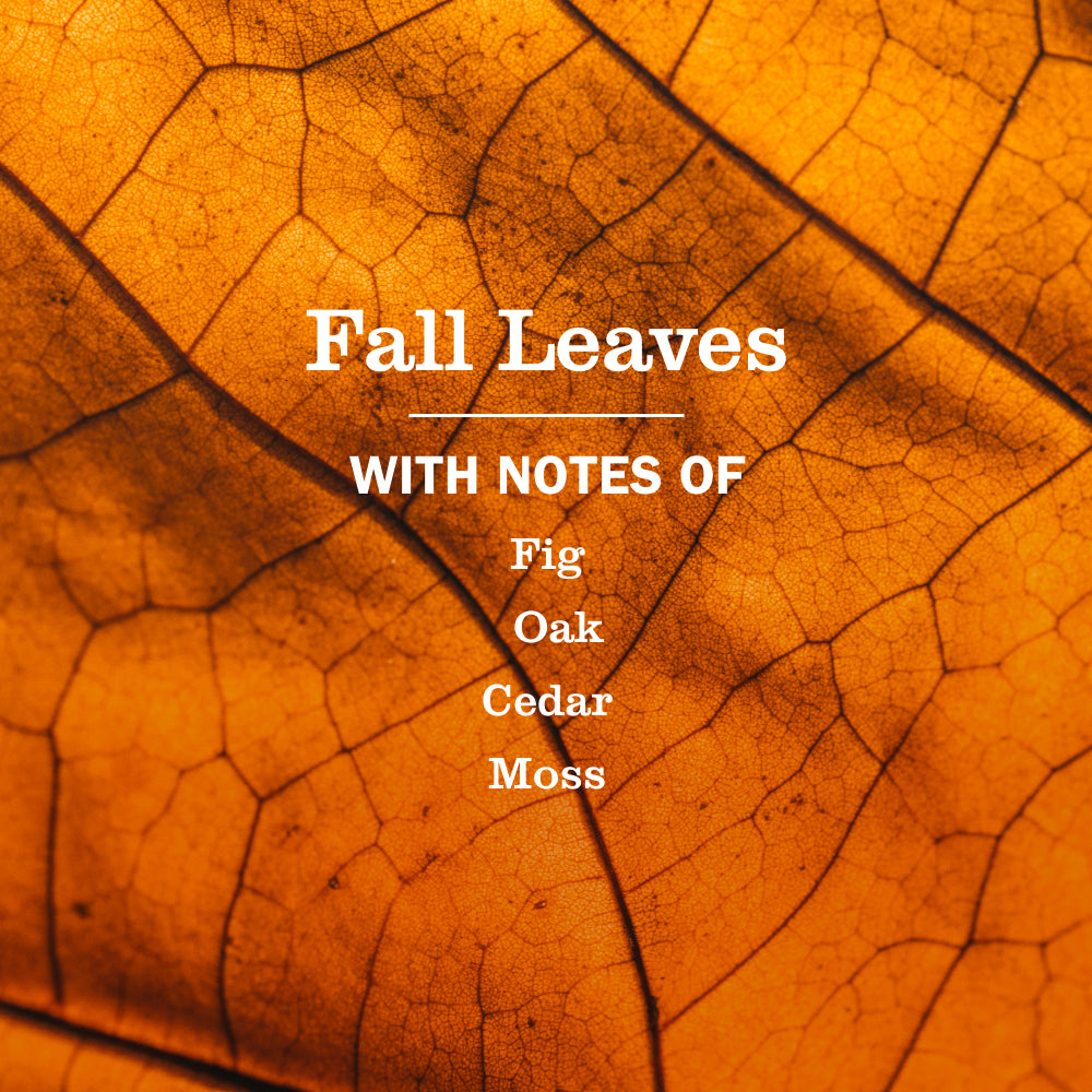 Fall Leaves Dish Soap - Image 4
