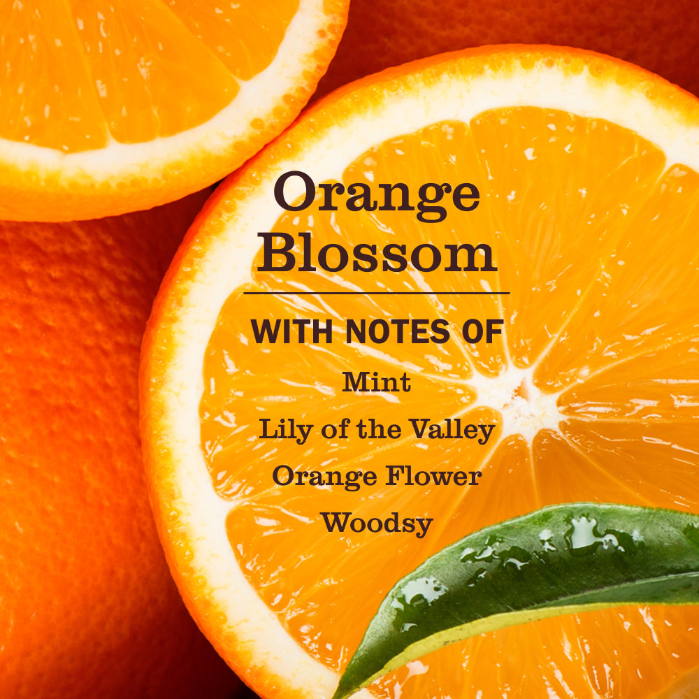 Orange Blossom Pet Stain & Odor Fighter - Image 3