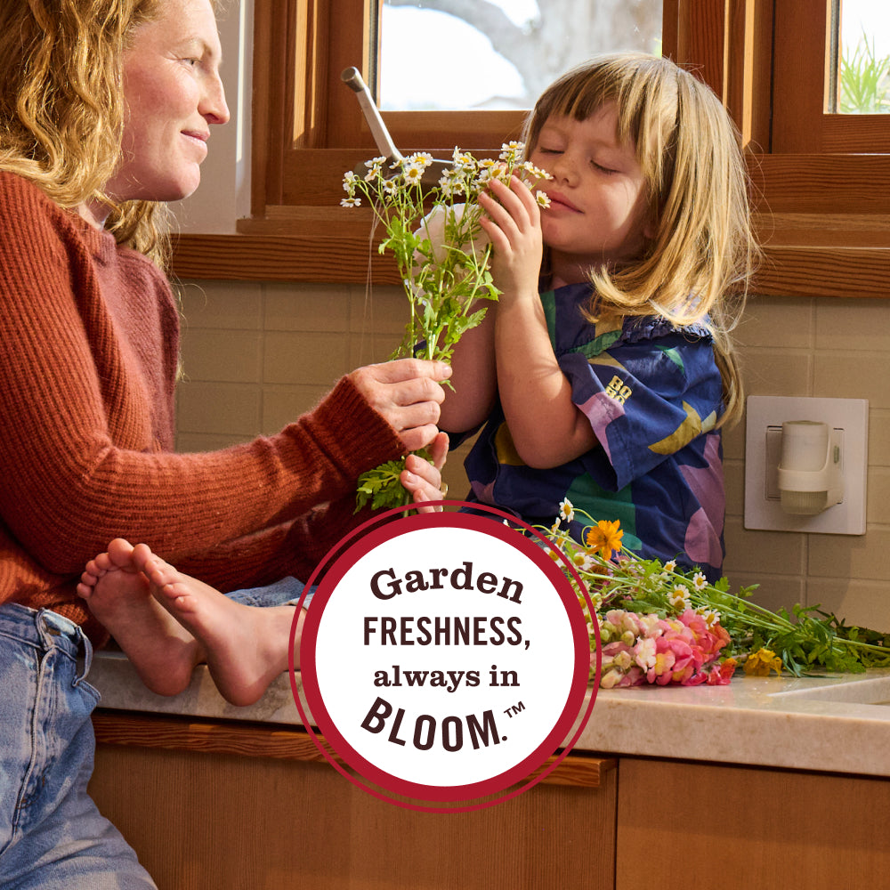 Dandelion Plug In Scented Oil Warmer With Refill - Image 11