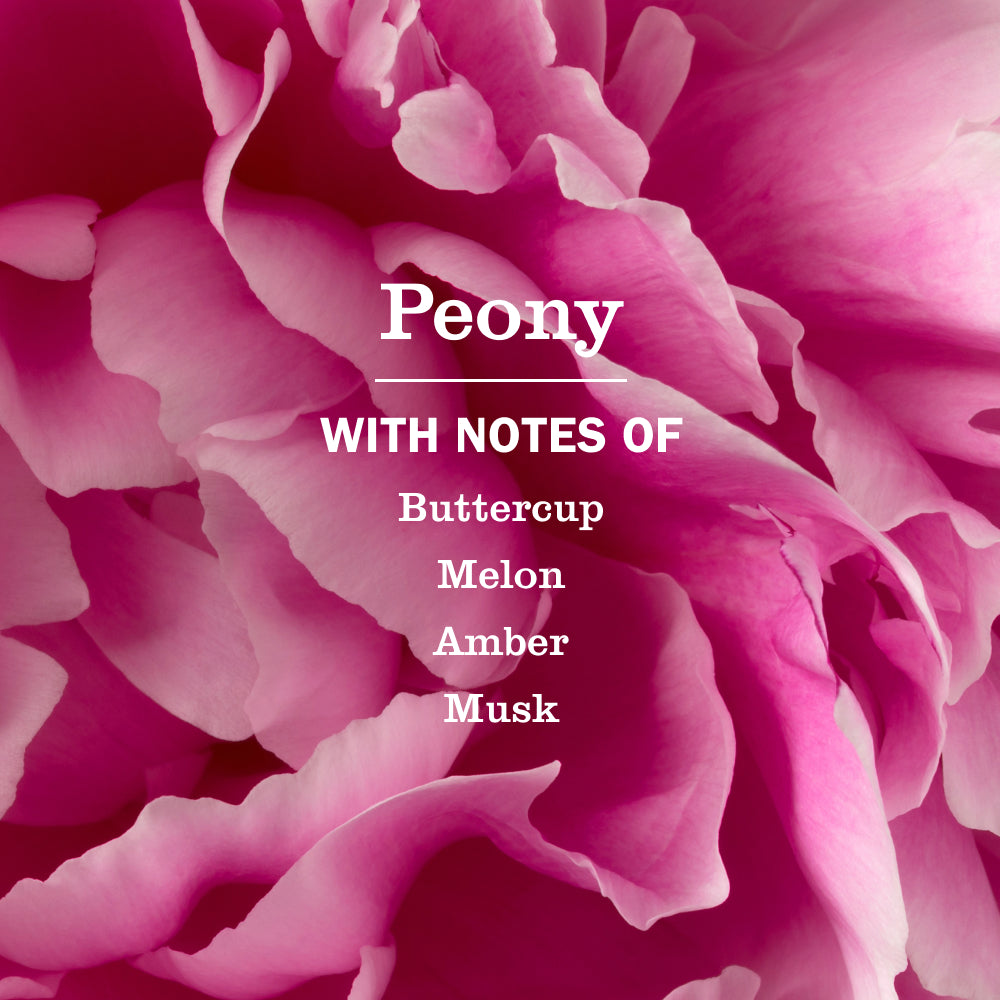 Peony Liquid Hand Soap & Refill Set - Image 2