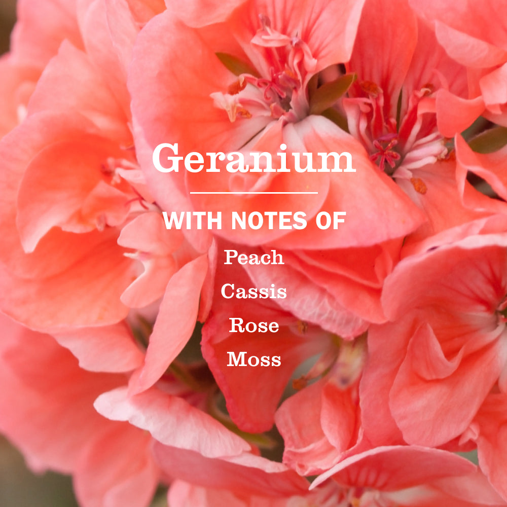 Geranium Kitchen Basics Set - Image 4