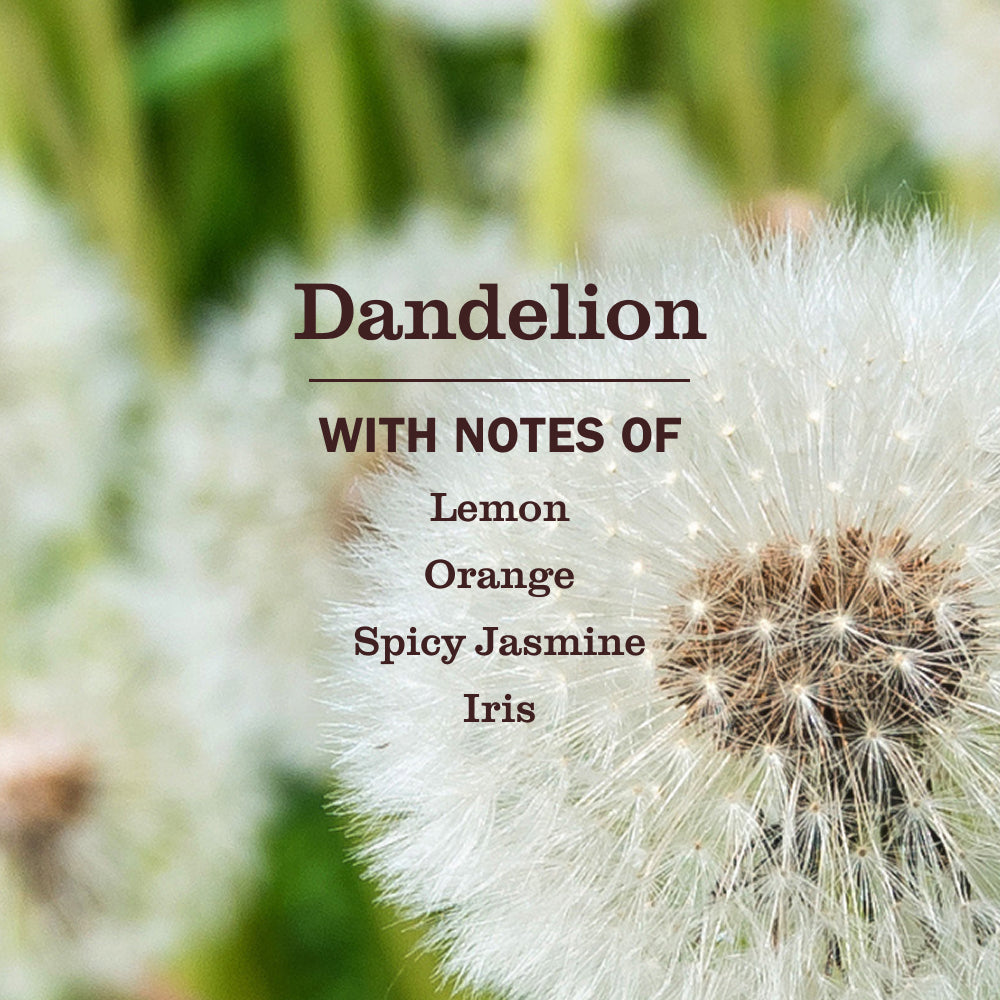 Dandelion Liquid Hand Soap 3-count Bundle - Image 4