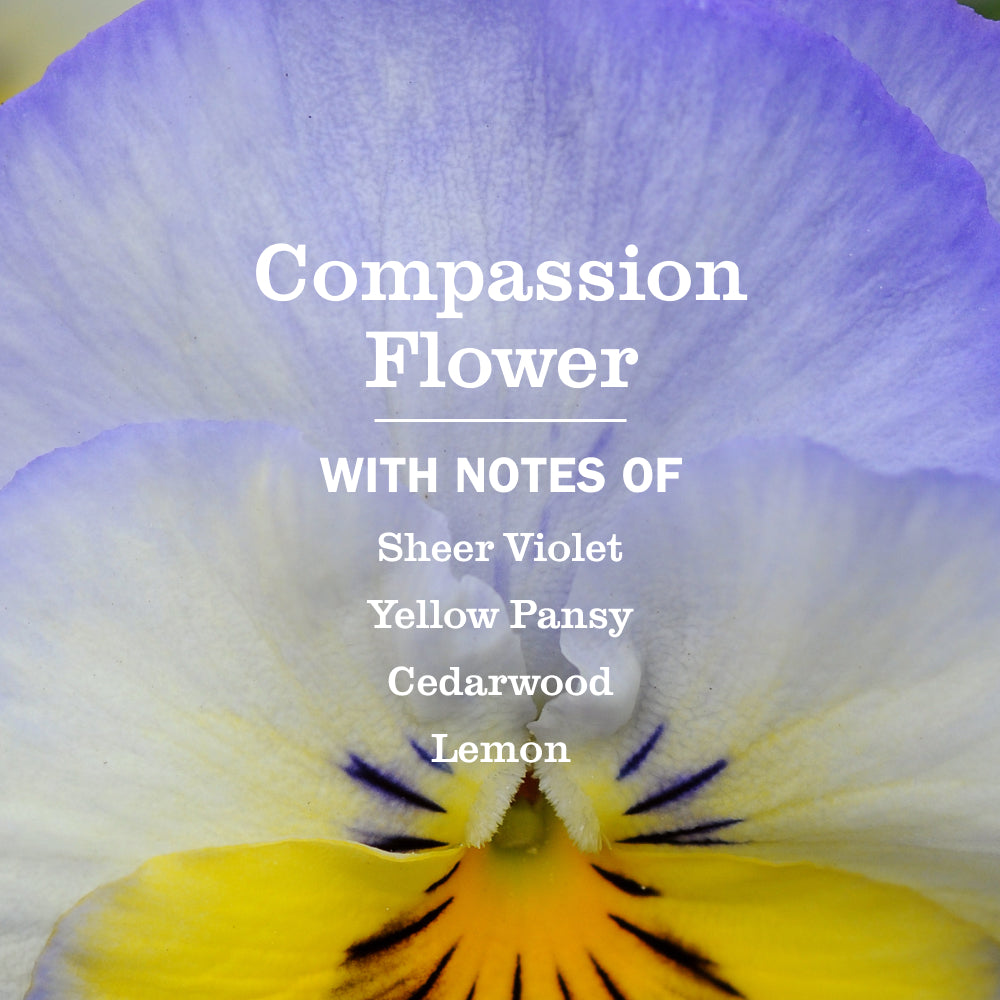 Compassion Flower Kitchen Basics Set - Image 4