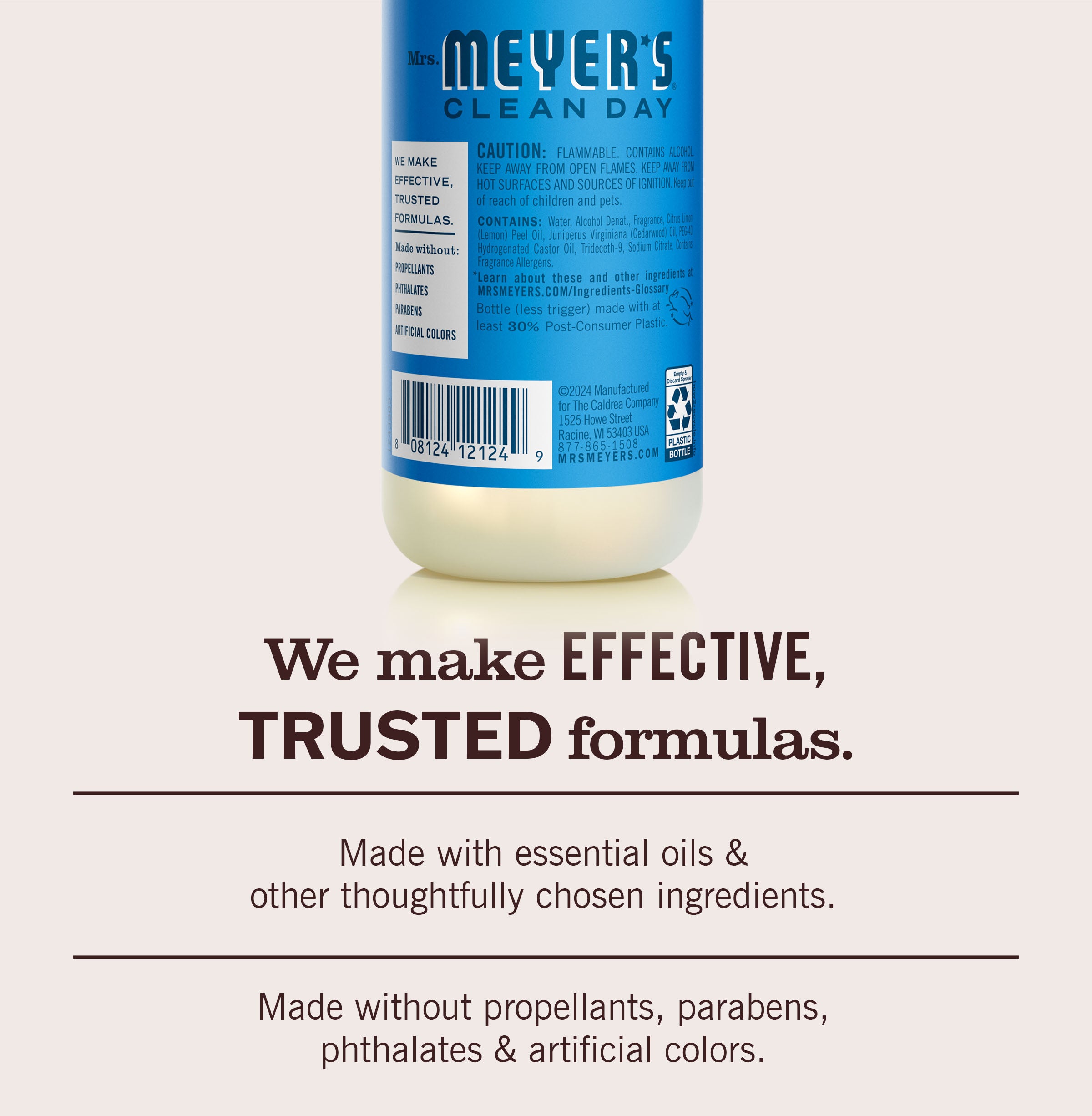 Blueberry Room Freshener - Image 6