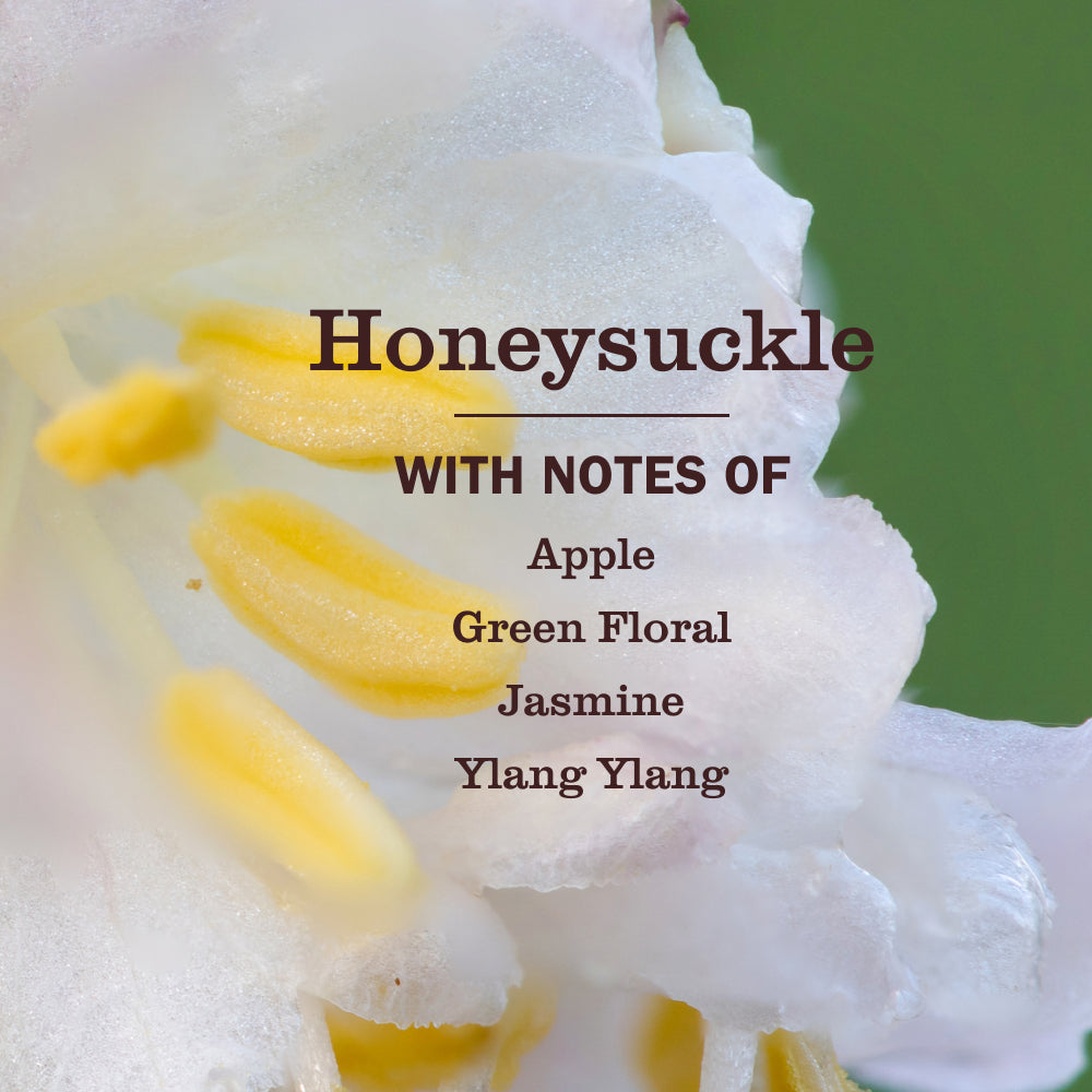 Honeysuckle Liquid Hand Soap & Refill Set - Image 2