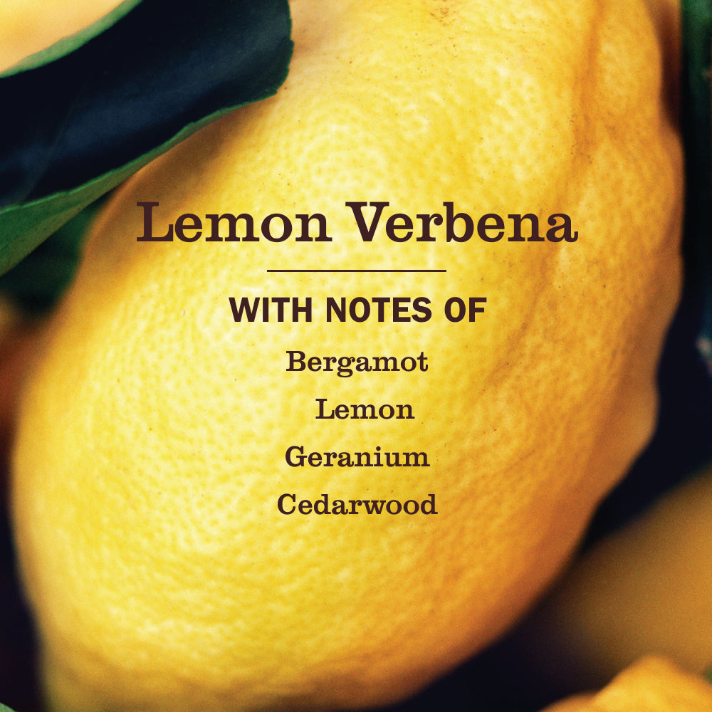 Lemon Verbena Liquid Hand Soap Refill - Image 4