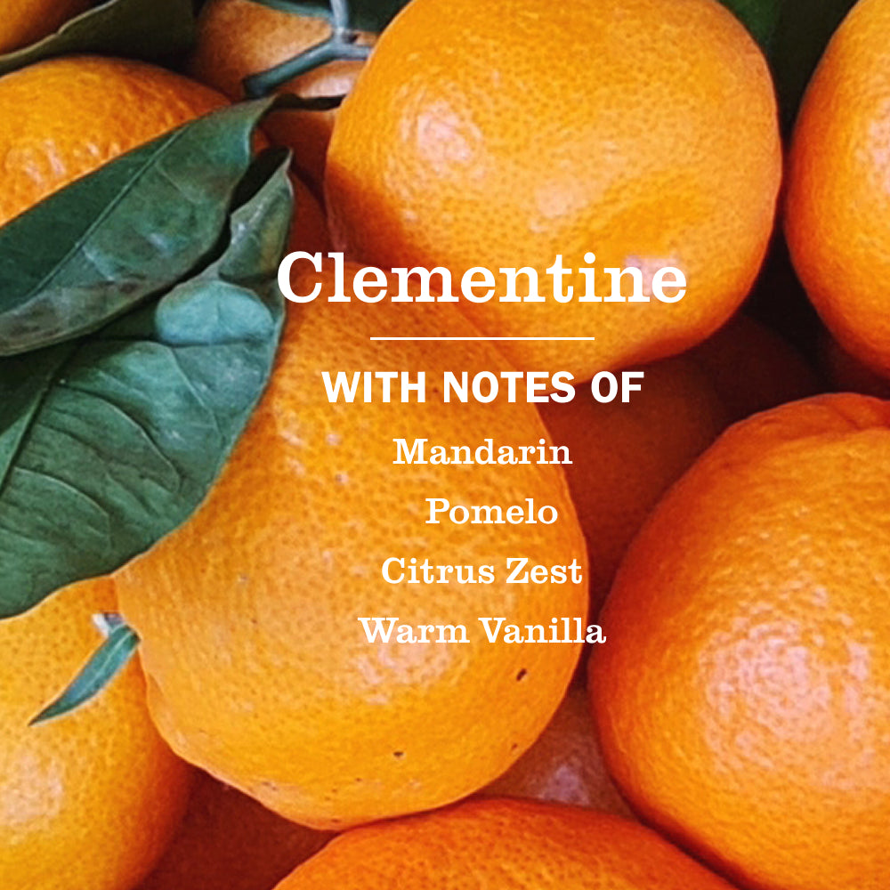 Clementine Dish Soap - Image 4