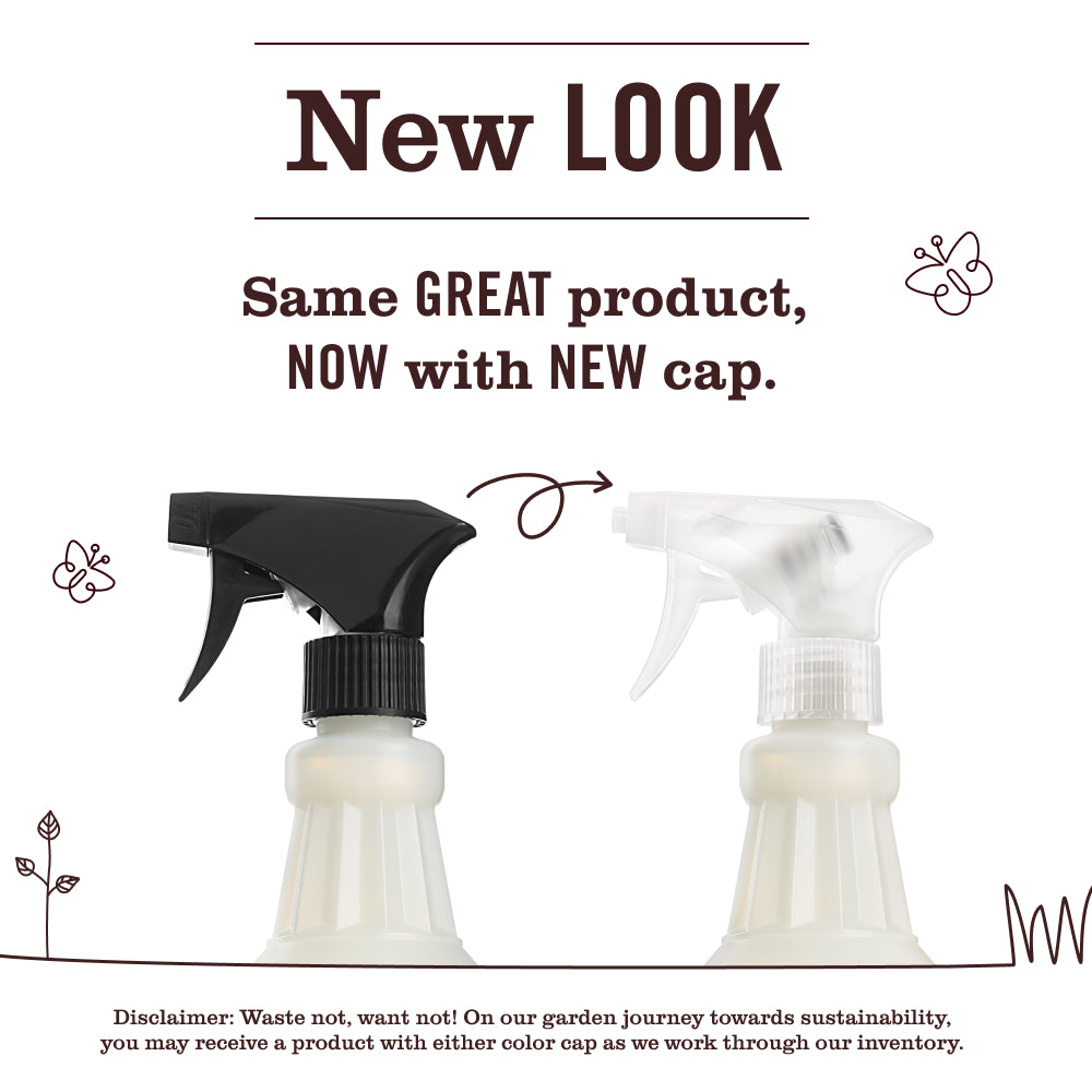 Apple Cider Multi-Surface Everyday Cleaner - Image 3