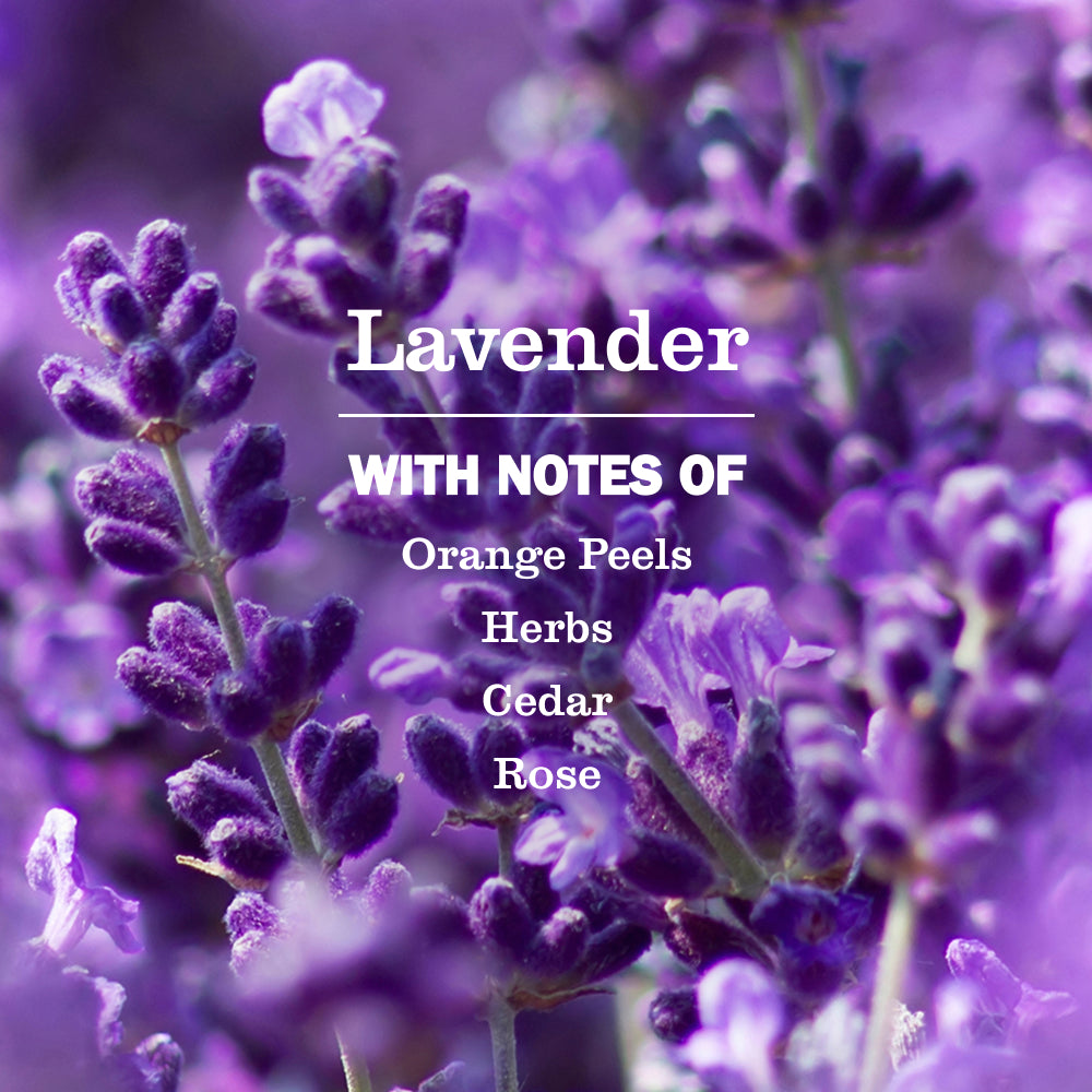 Lavender Ultra Concentrated Laundry Detergent - Image 3