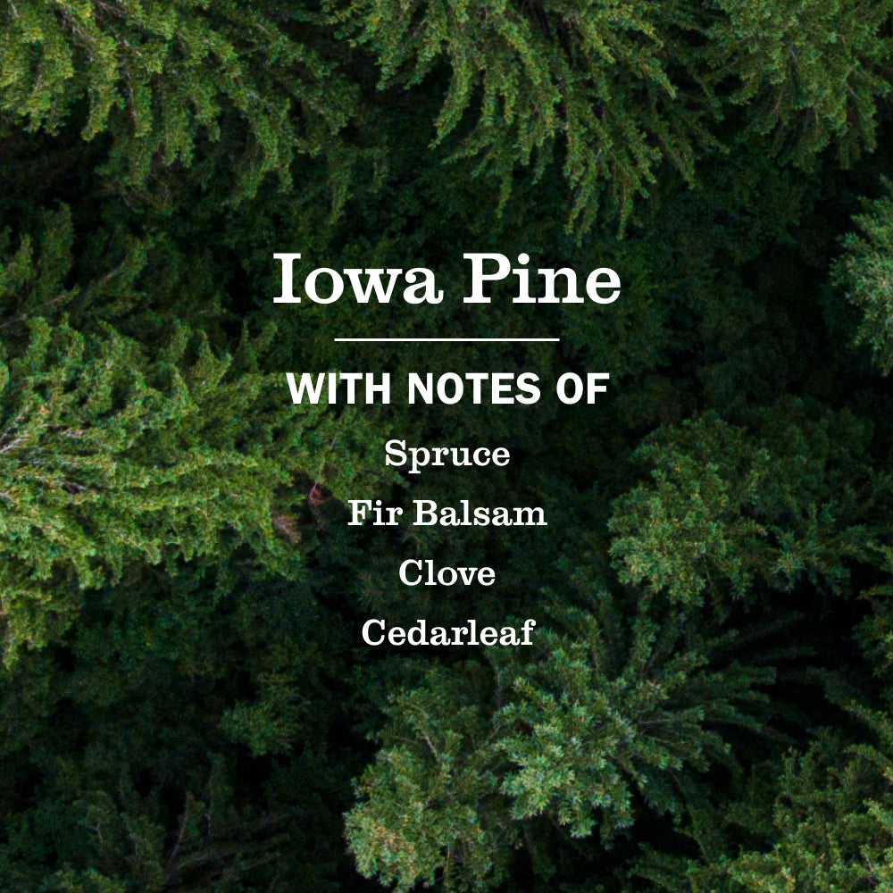 Iowa Pine Liquid Hand Soap & Refill Set - Image 2