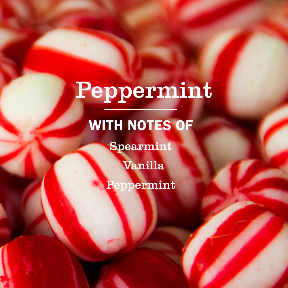 Peppermint Multi-Surface Everyday Cleaner 3-count Bundle - Image 4