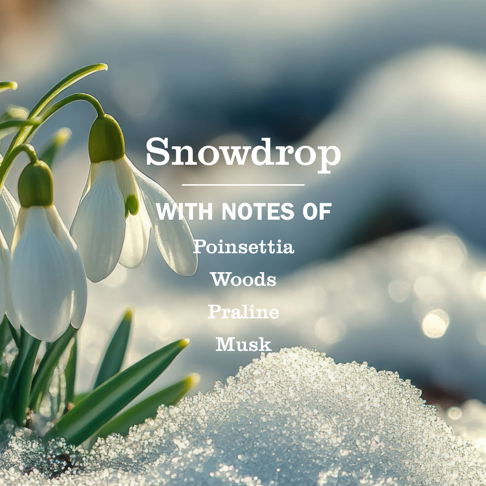 Snowdrop Essentials Plus 9-Count Bundle - Image 2