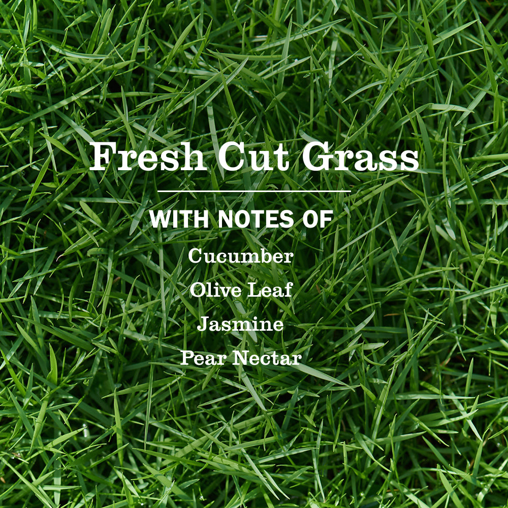 Fresh Cut Grass Liquid Hand Soap 3-count Bundle - Image 4