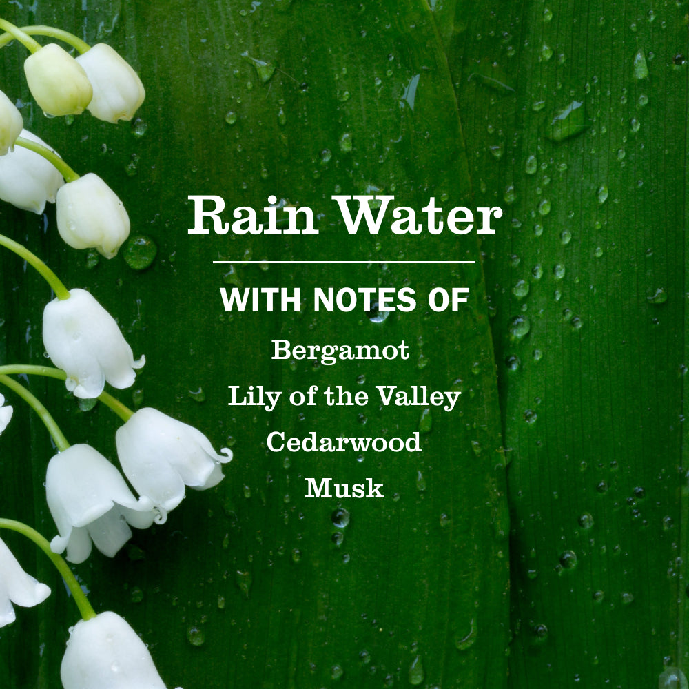 Rain Water Dish Soap - Image 4